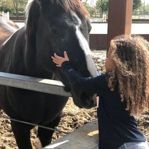 Meet your Posher, Jolie